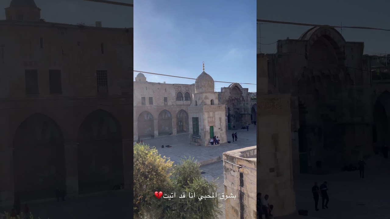 احبك رغم الذي يفعلون💔🙏