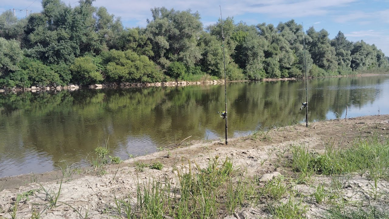 24 de ore după crap și somn