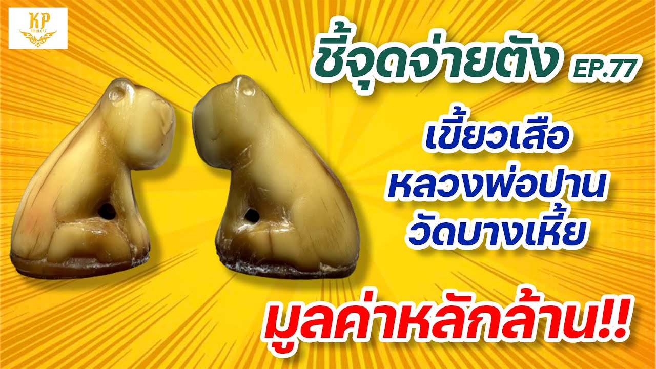 เขี้ยวเสือหลวงพ่อปาน วัดบางเหี้ย | ชี้จุดจ่ายตัง EP:77