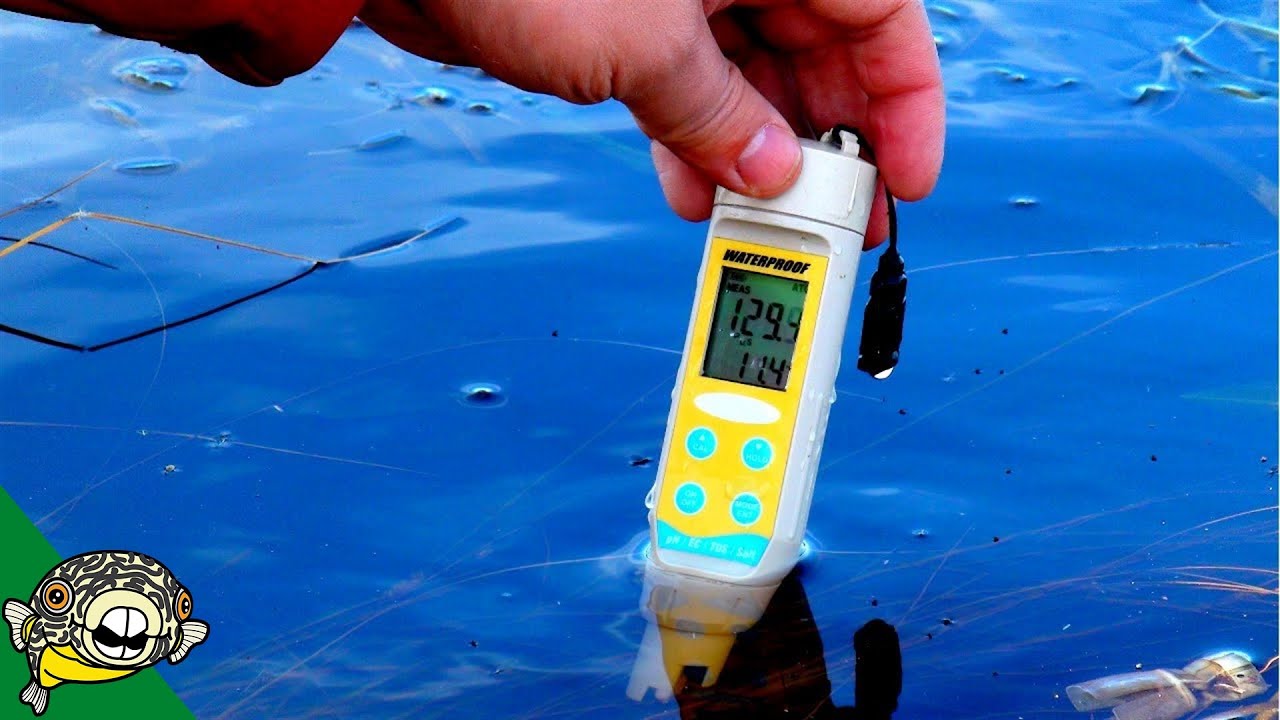 TDS meters are KILLING Shrimp and Fish.