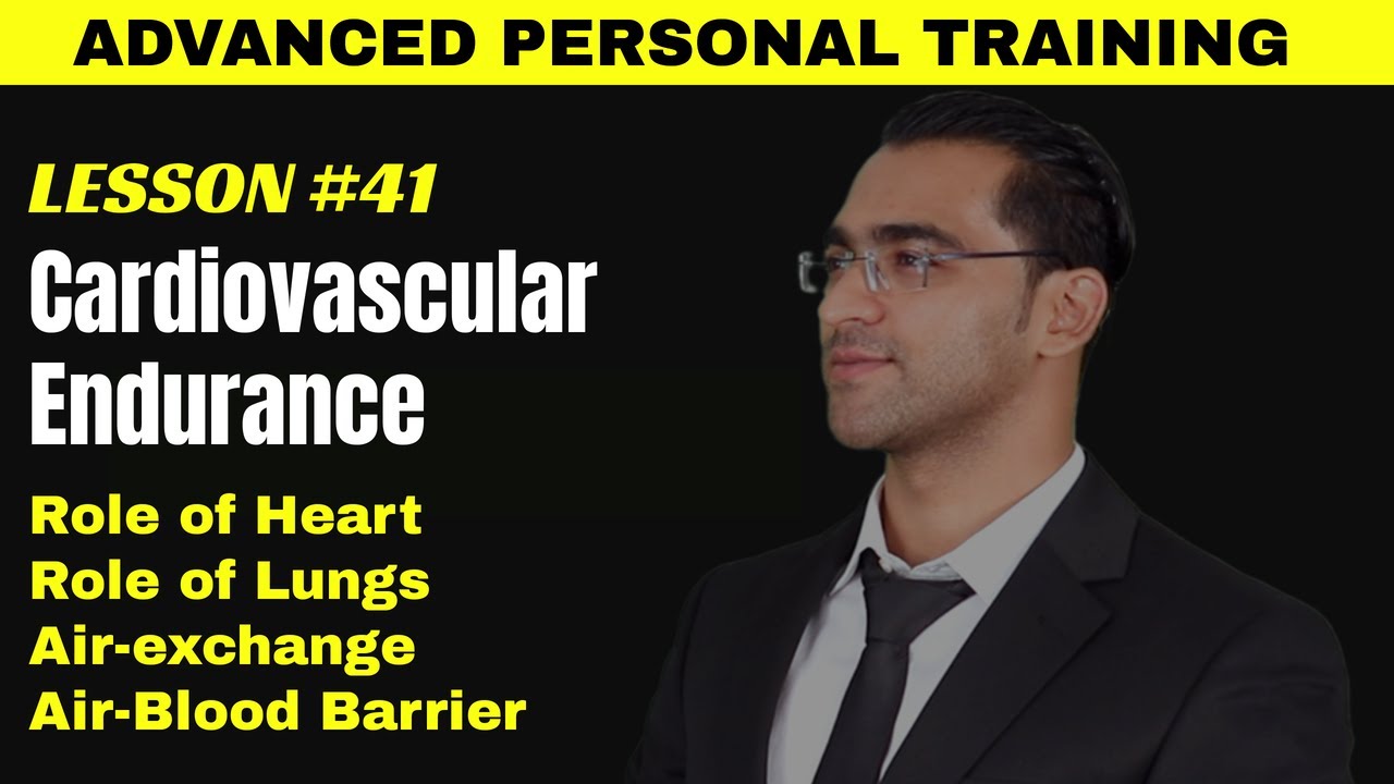 Cardiovascular Endurance || Fitness Endurance