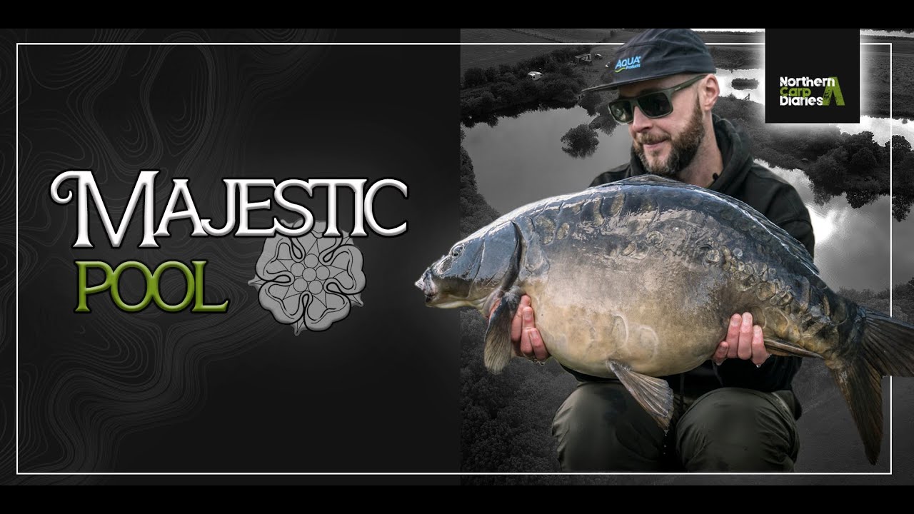 Northern Carp Diaries - Carp Fishing at Majestic Pool