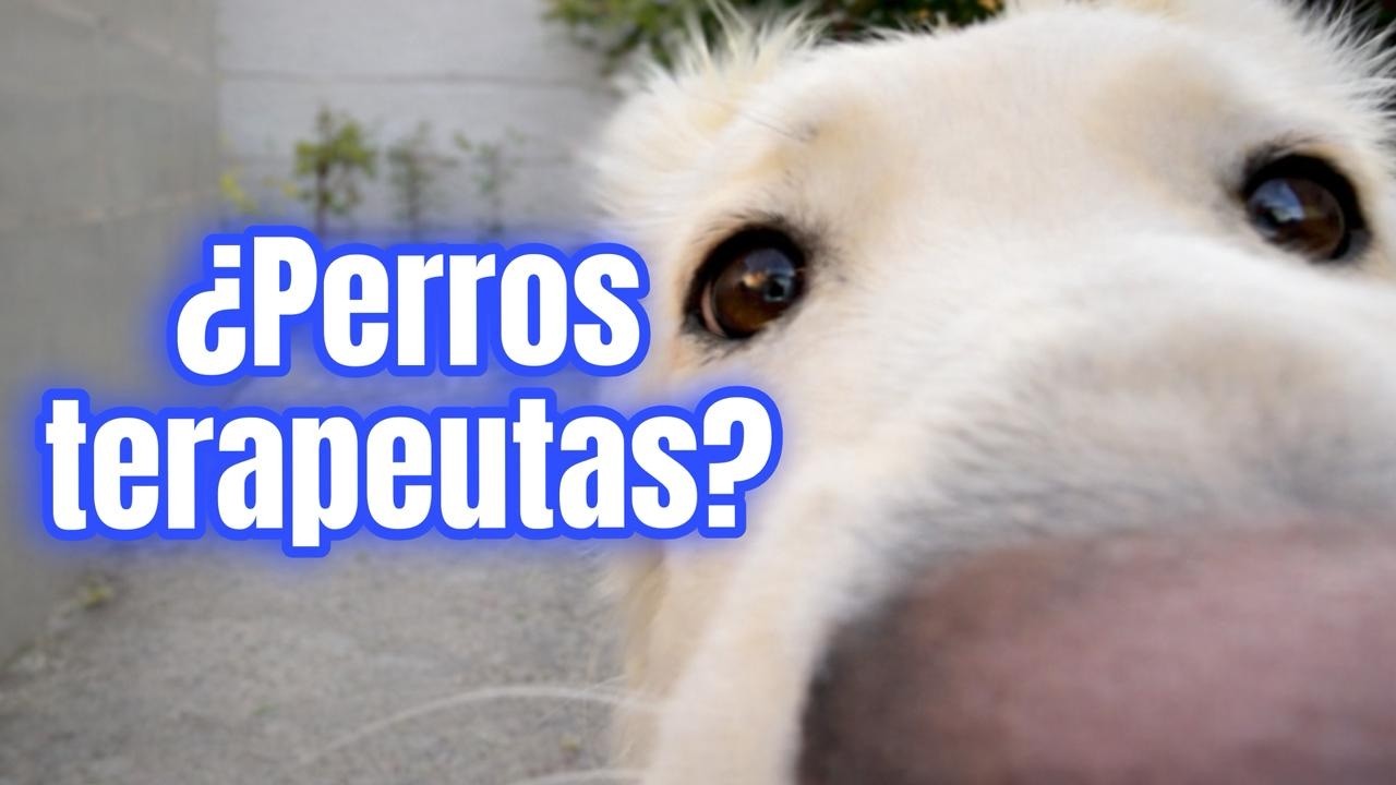 ¿Que es la CANOTERAPIA?  | los perros como Terapeutas