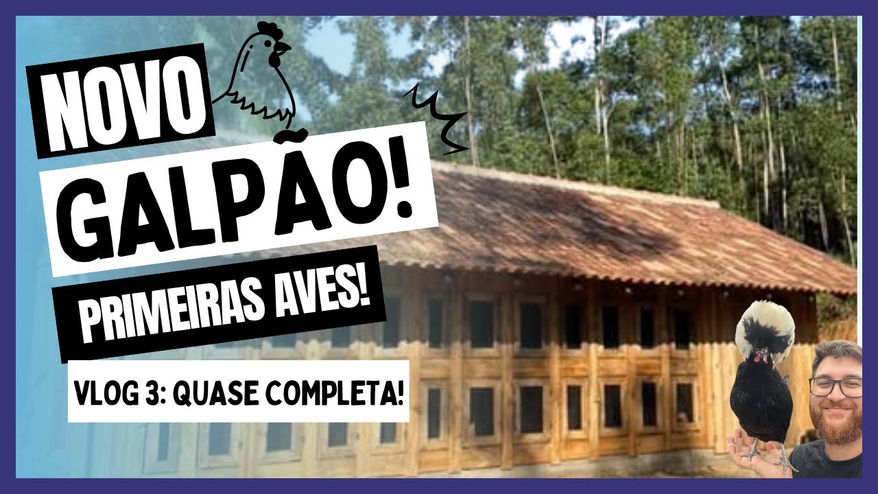 Parte da obra já está concluída: chegaram as primeiras aves! Vlog 03