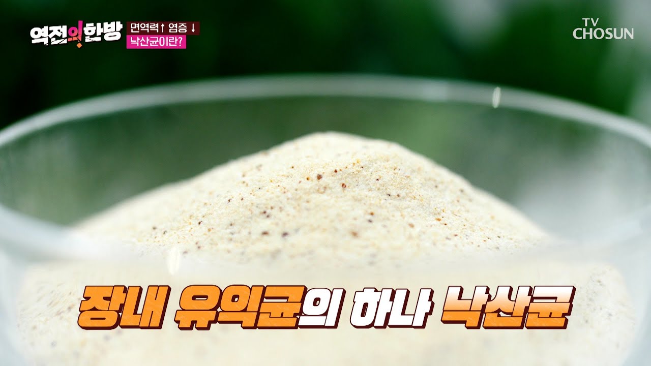 《낙산균》 면역력 UP! 장 건강을 지켜주는 특급 비책😎 TV CHOSUN 231110 방송 | [역전의 한방] 51회 | TV조선