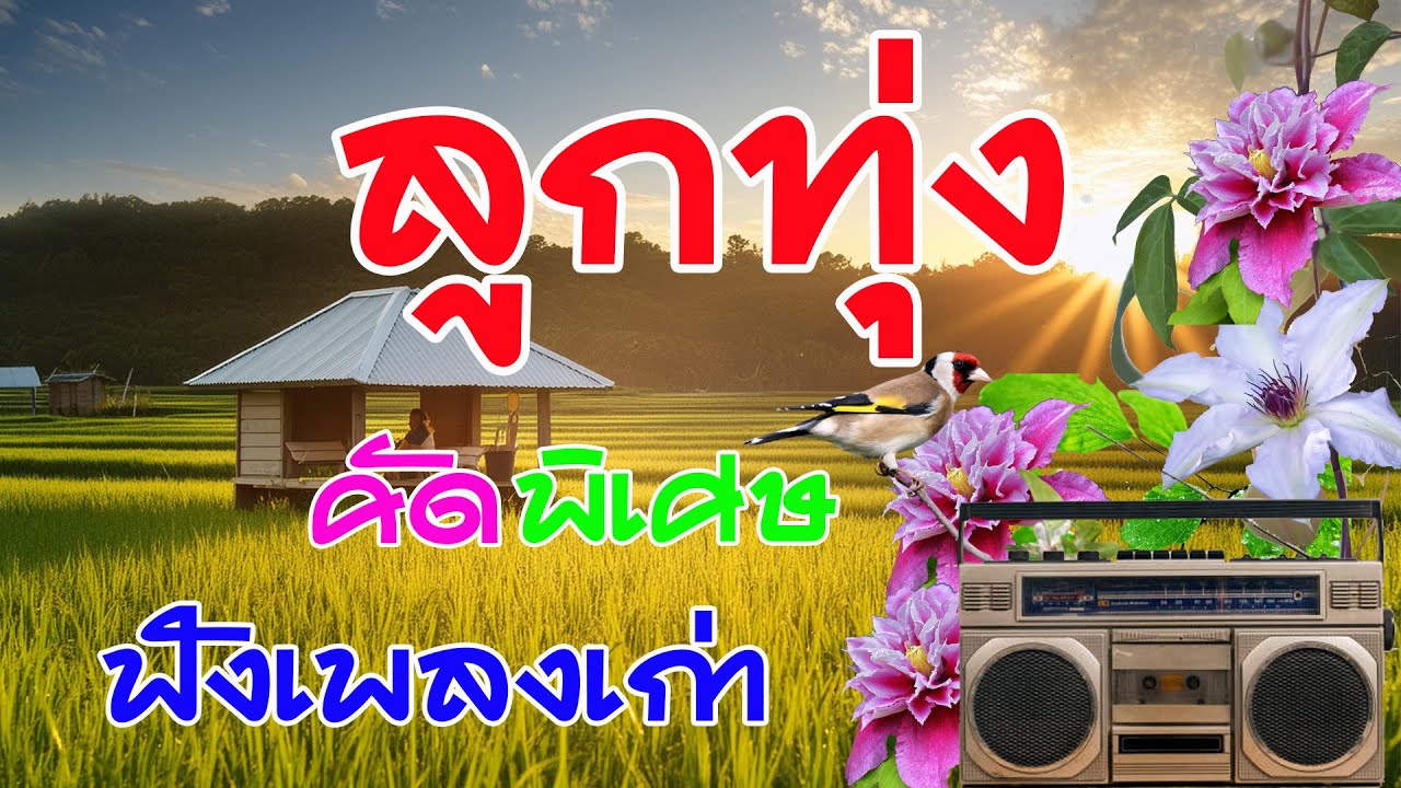 รวมเพลงลูกทุ่งเก่าคัดพิเศษเพลงเพราะ