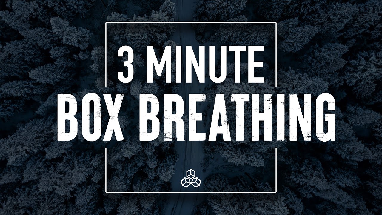 3 Minute COLD PLUNGE Breathing Exercise