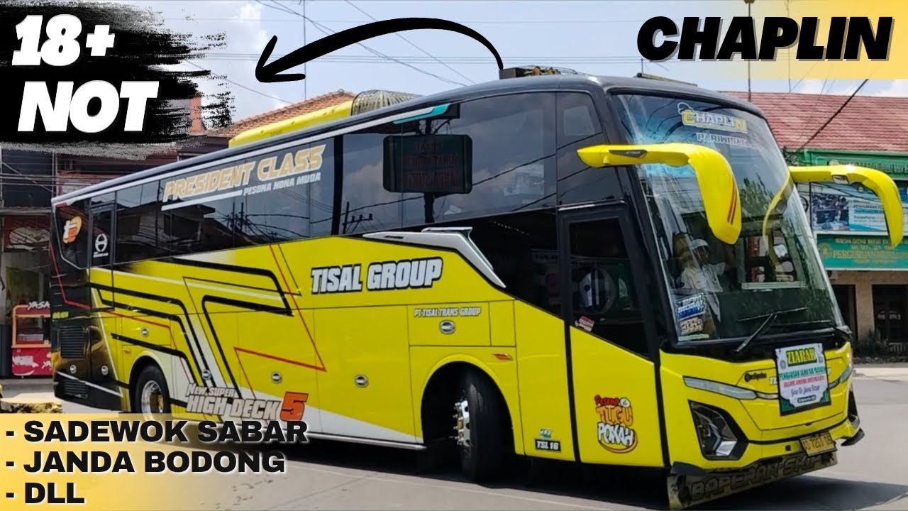 18 NOT CORTAS | TISAL TRANS 