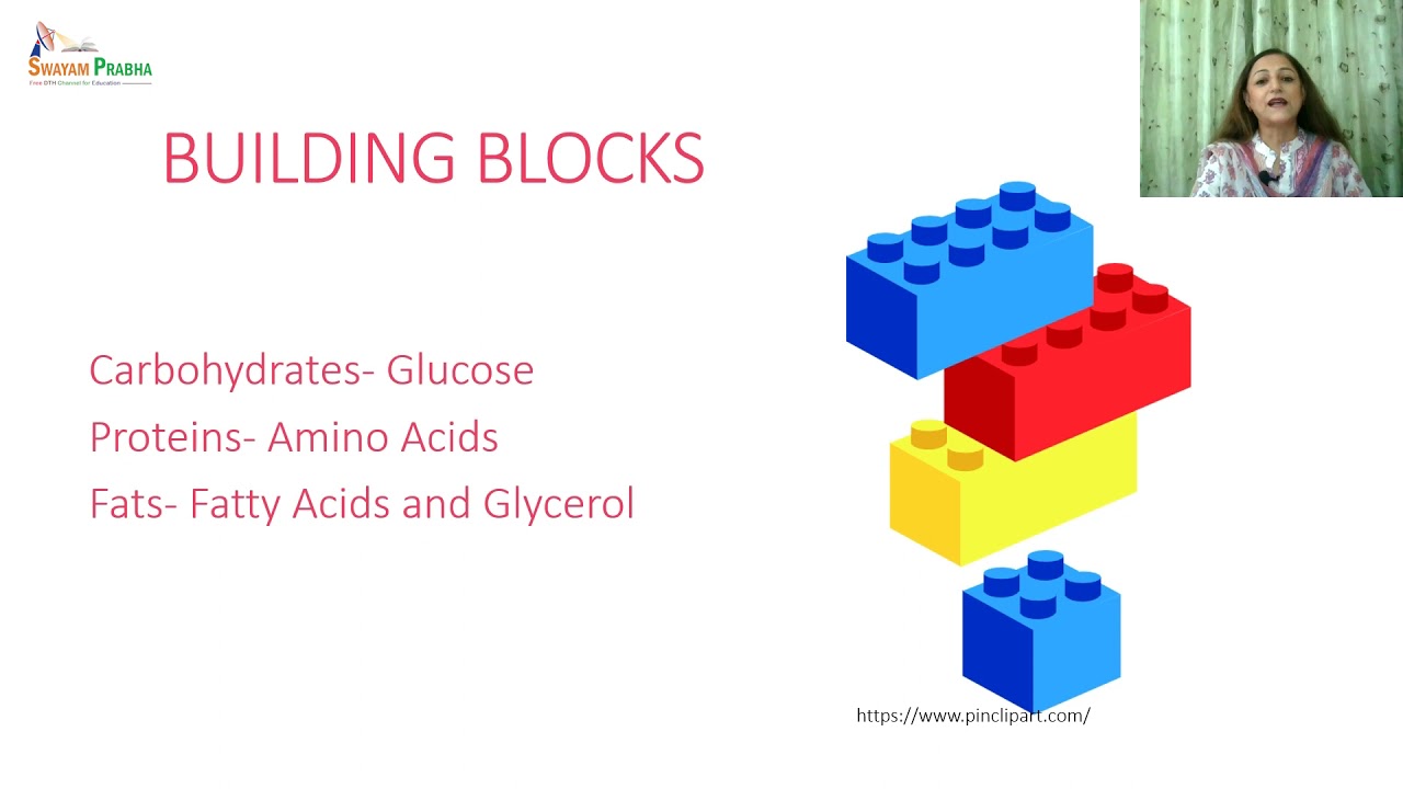 Basics of nutrition and concept of Balanced Diet