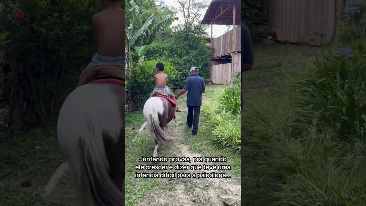 Eu estou juntando provas dos meus filhos