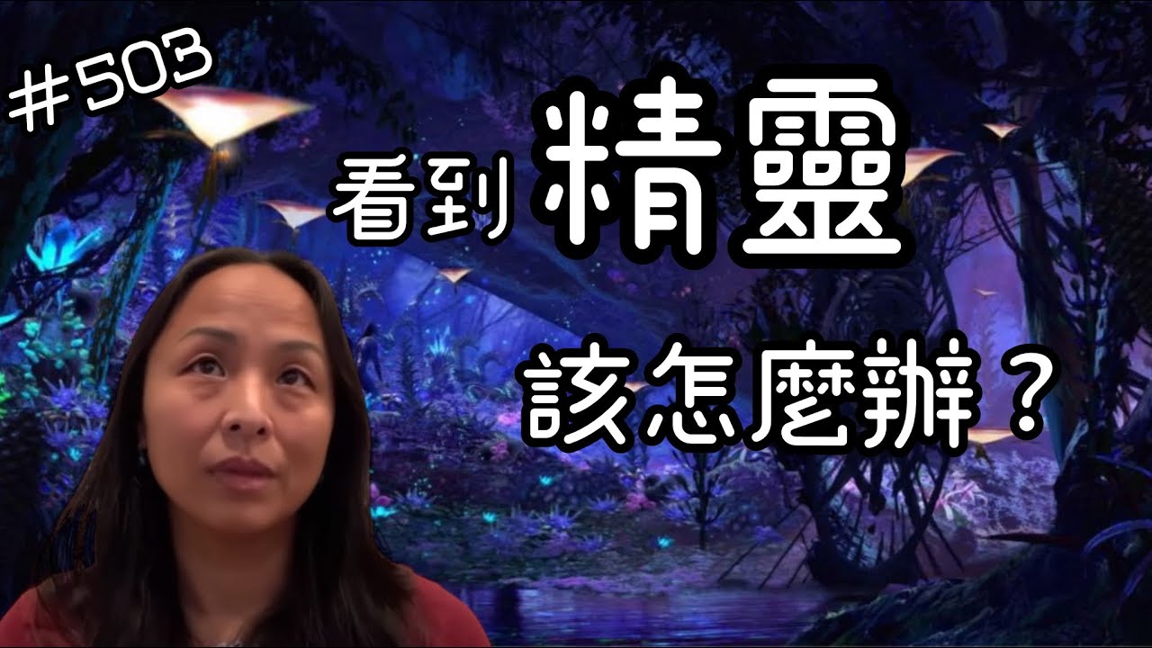 第五百零三集 精靈101:看到精靈要怎麼辦？