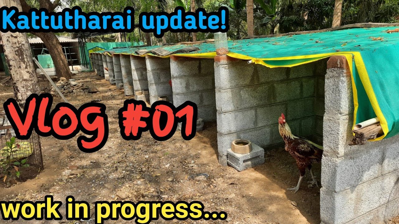 My Farm | Vlog #01