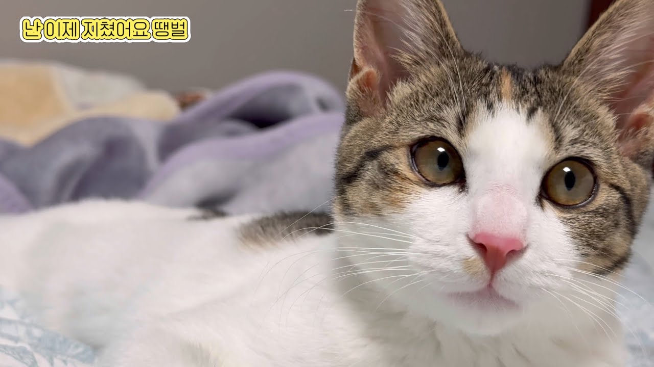 누나 달을 왜 봐 내 얼굴을 보면 되잖아🌝