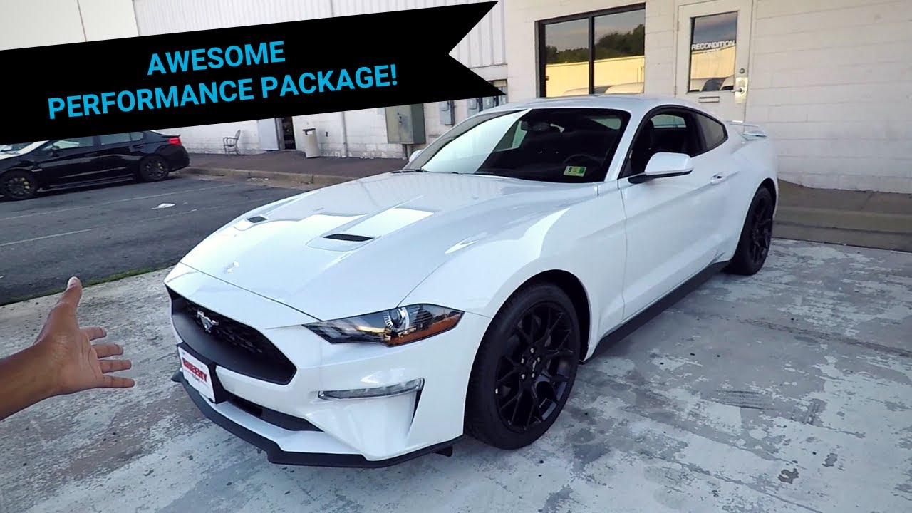 Reviewing The New 2019 EcoBoost Mustang!