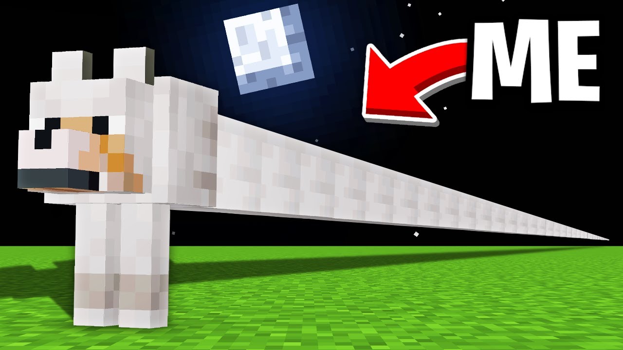 Minecraft, But What's This Wolf?!