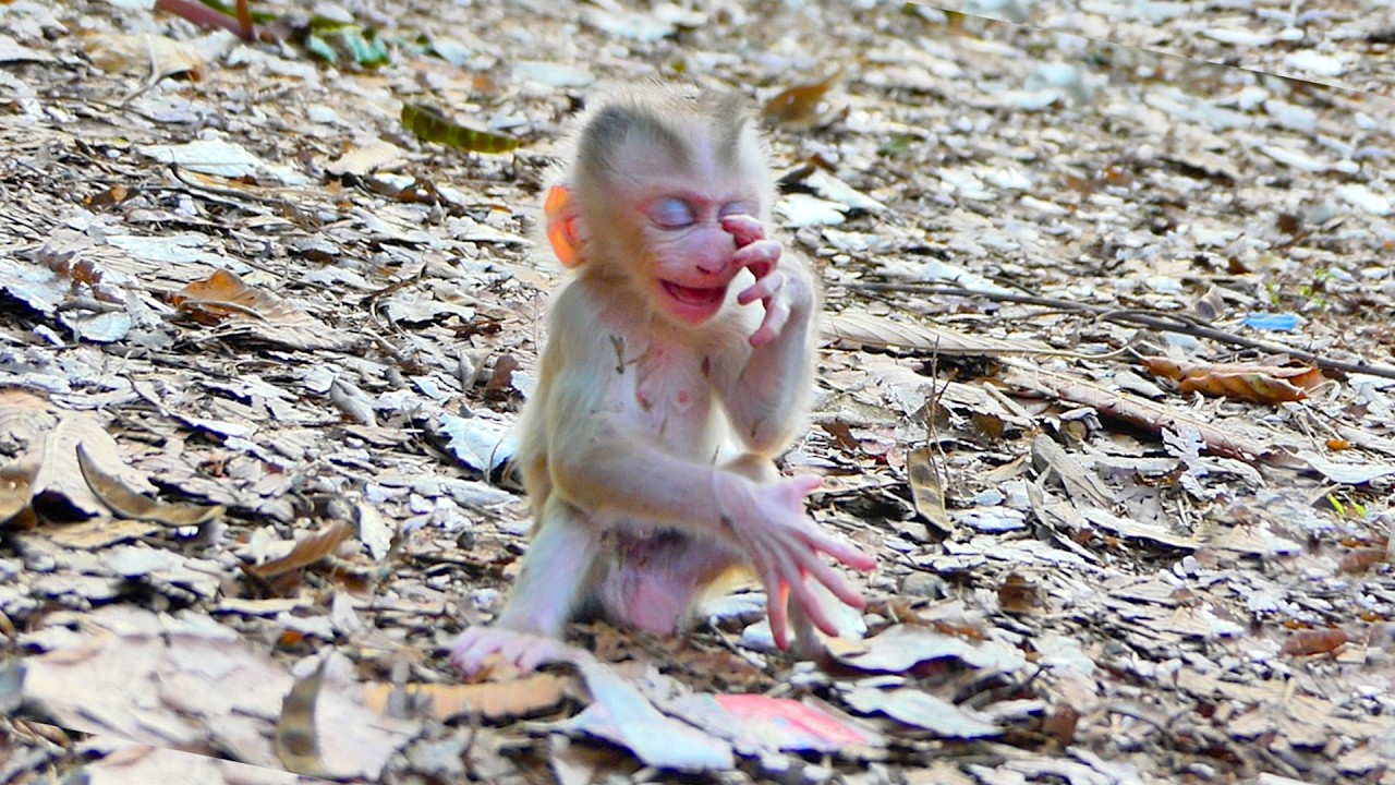 Adorable Baby un_happy with his mother for milk because he can't wait any long