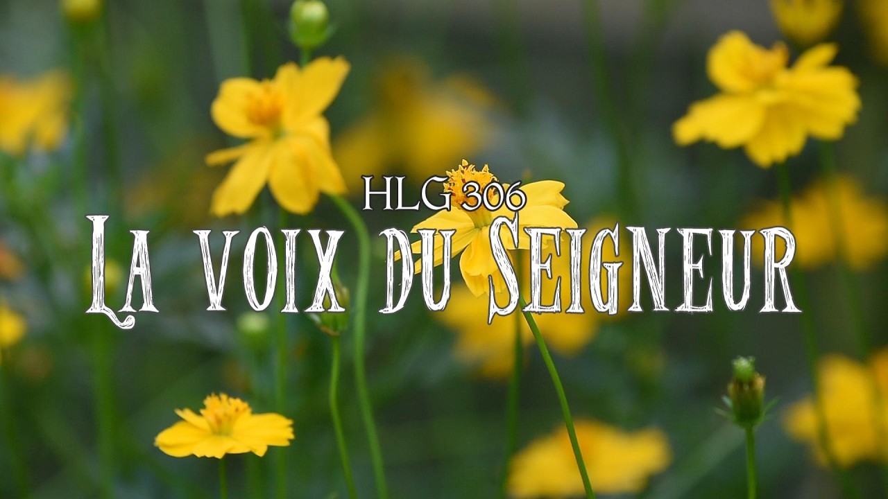 La voix du Seigneur m'appelle – HLG 306 | Karaoké Chrétien | Harpe, Flûte & Sons d’oiseaux