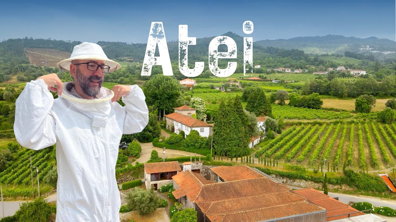 Descobrimos o Segredo do Norte de Portugal entre Vinhos e Abelhas
