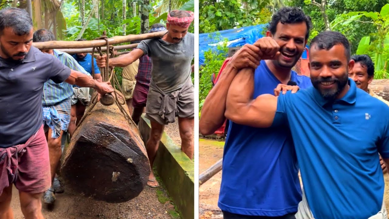 പാട്ട് പാടി ഭീമൻ മരങ്ങൾ വണ്ടിയിൽ കയറ്റുന്ന കോഴിക്കോട്ടെ ഖലാസിമാർ | Khalasi kozhikode