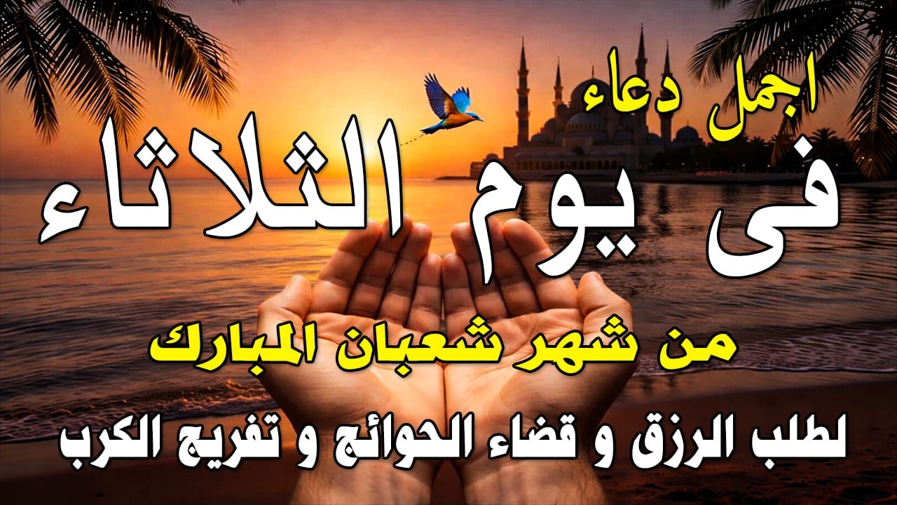 دعاء فى يوم الأربعاء المستجاب دعاء في يوم 16 من شهر شعبان للرزق والشفاء العاجل وقضاء الحوائج 🤲(4k)