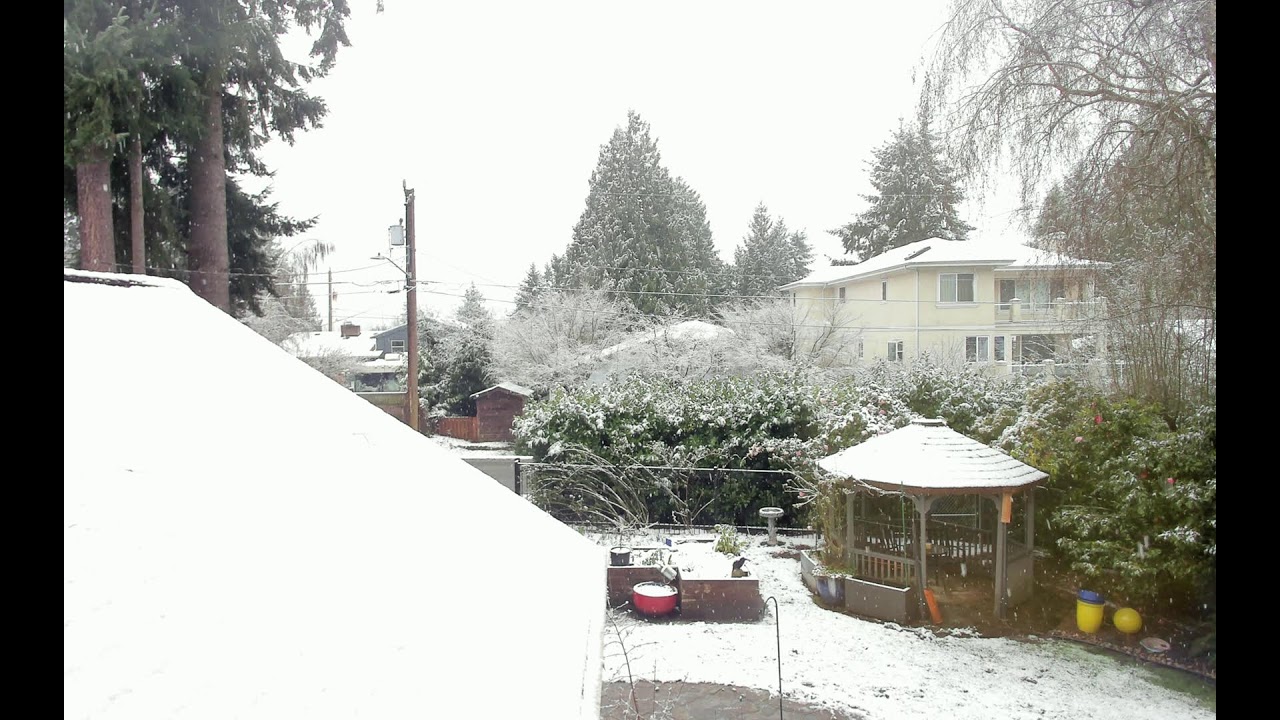 More Seattle Morning Snow March 13 2026