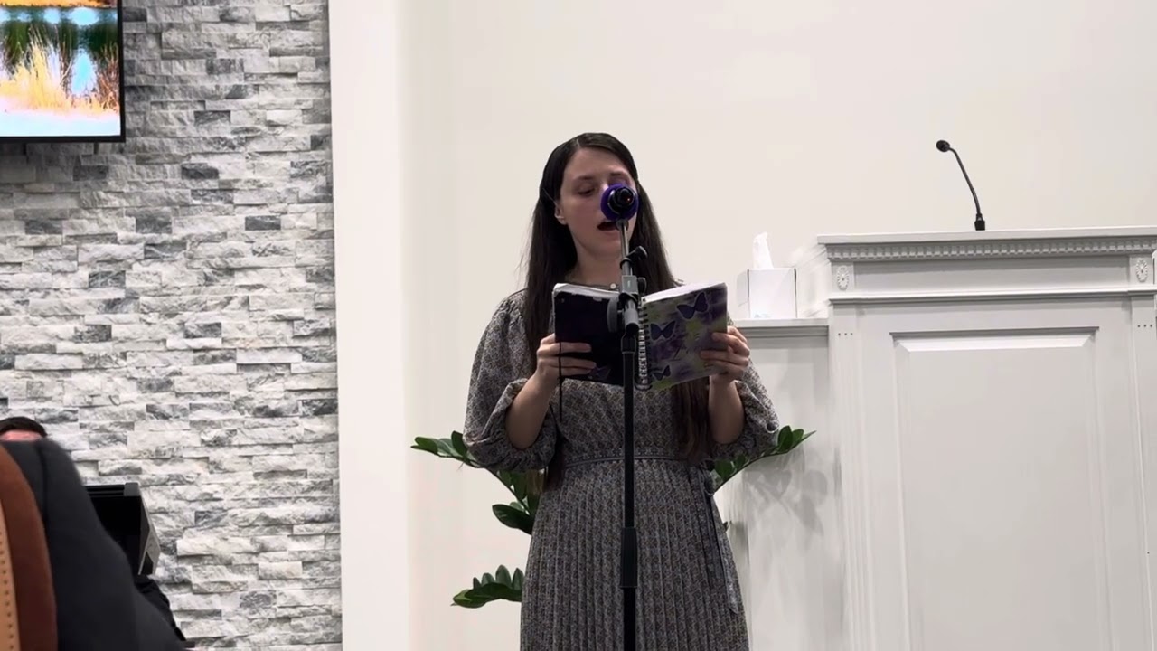 Abigail Chirita - Călători se coboară se coboară