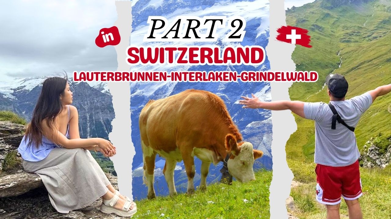 Exploring Grindelwald: First Stop — Cow Encounters in the Alps 🐄