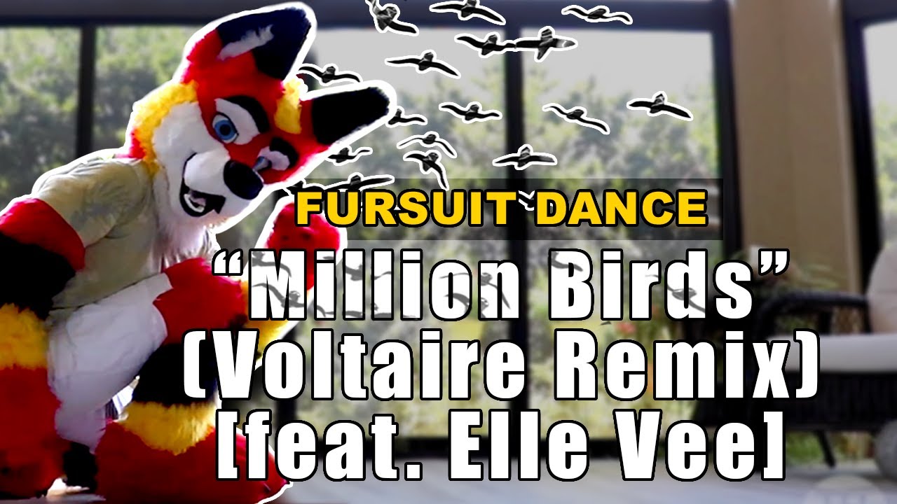 Fursuit Dance - Nurko 