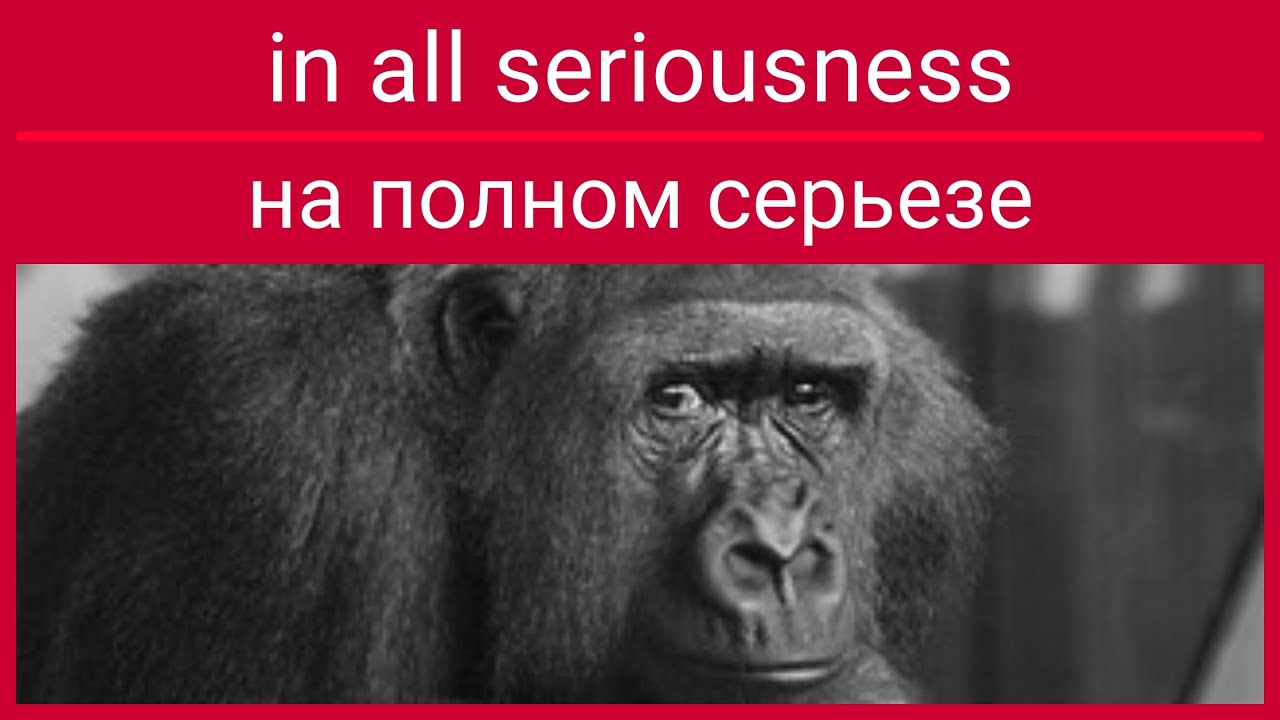ᴇɴ in all seriousness - ʀᴜ на полном серьезе, со всей серьезностью, если серьезно