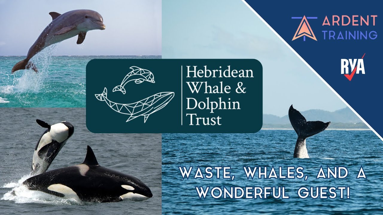 Hebridean Whale and Dolphin Trust (HWDT) - Ardent Training Have a Special Guest!