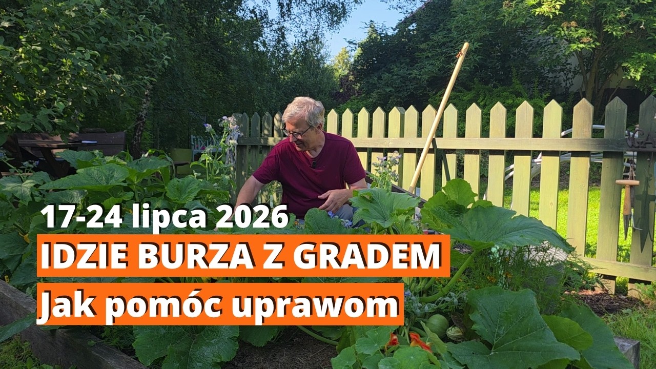 🚨 ALERT RCB! Jak ratować ogr&oacute;d przed burzą i gradem? + Co siać w lipcu? 🌱 Tydzień 17-24 lipca 2026