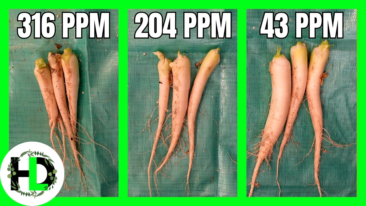 How To Get 57% Larger Fruit By Using Less Nitrogen