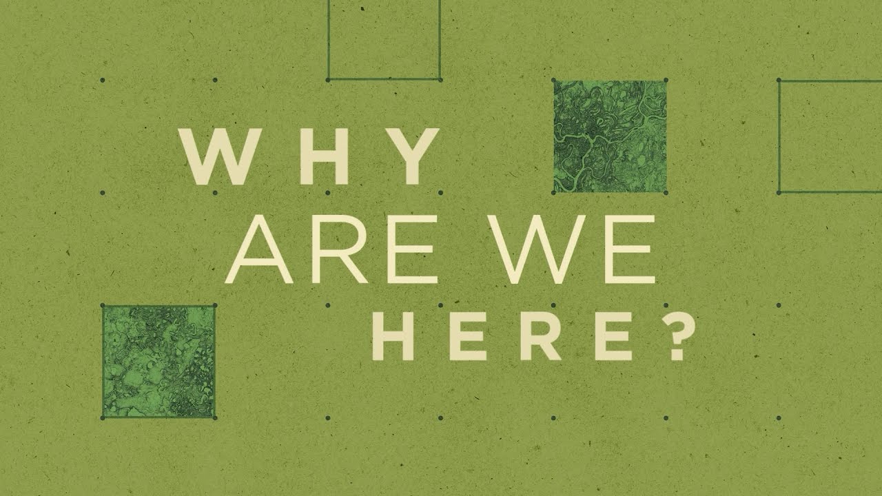 Why Are We Here?