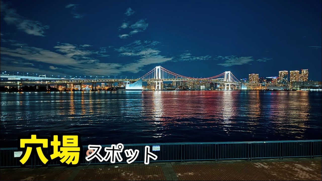 夜景が綺麗でびっくり 【豊洲ぐるり公園 】VLOG