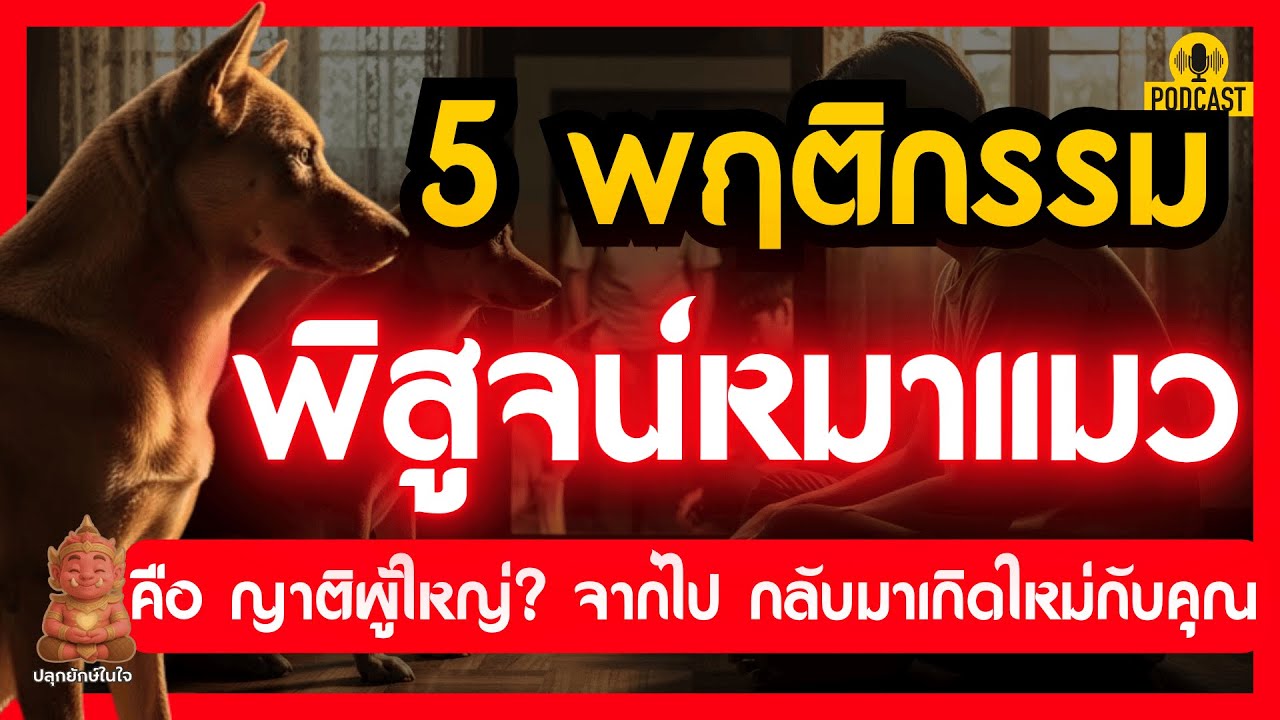 5 พฤติกรรมหมาแมว พิสูจน์ญาติผู้ใหญ่กลับมาเกิดใหม่ | #ปลุกยักษ์ในใจ