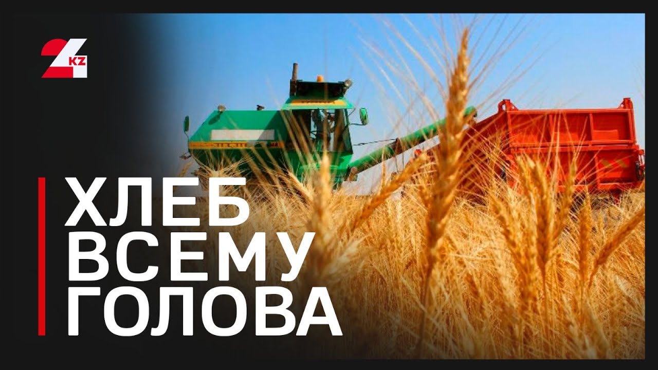 Казахстан увеличил экспорт пшеницы