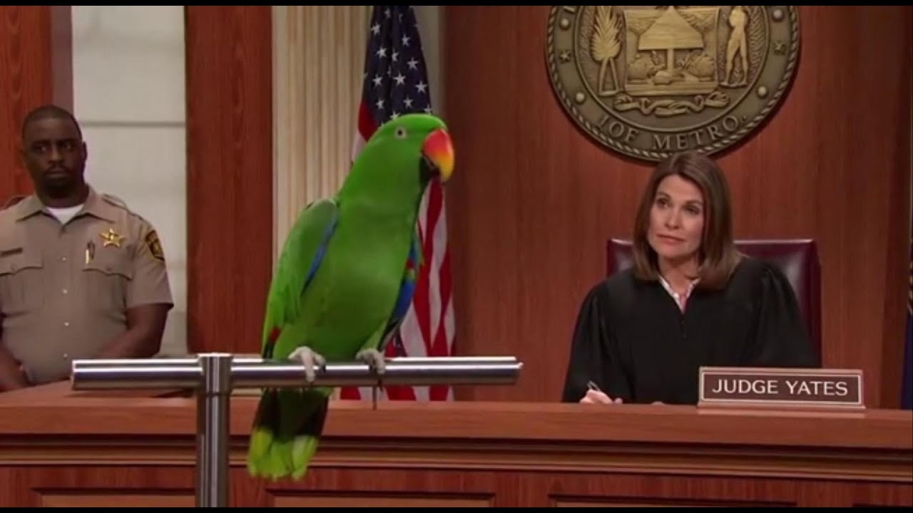 This Green Parrot ROASTED the Judge 😭🦜 | Courtroom Comedy