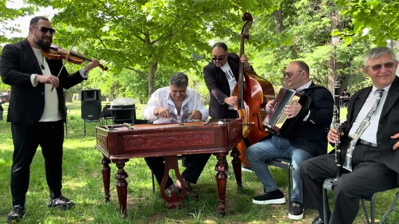 Lăutărie la Cetate