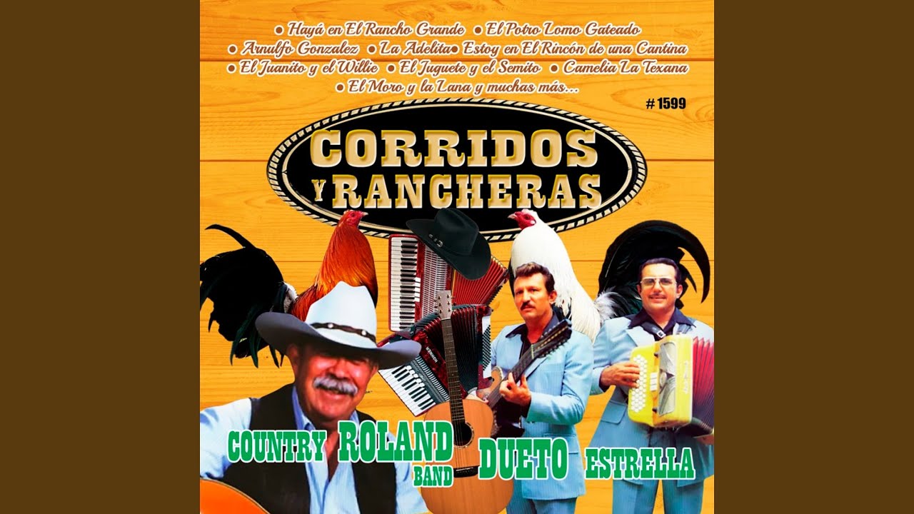 Estoy En El Rincon De Una Cantina