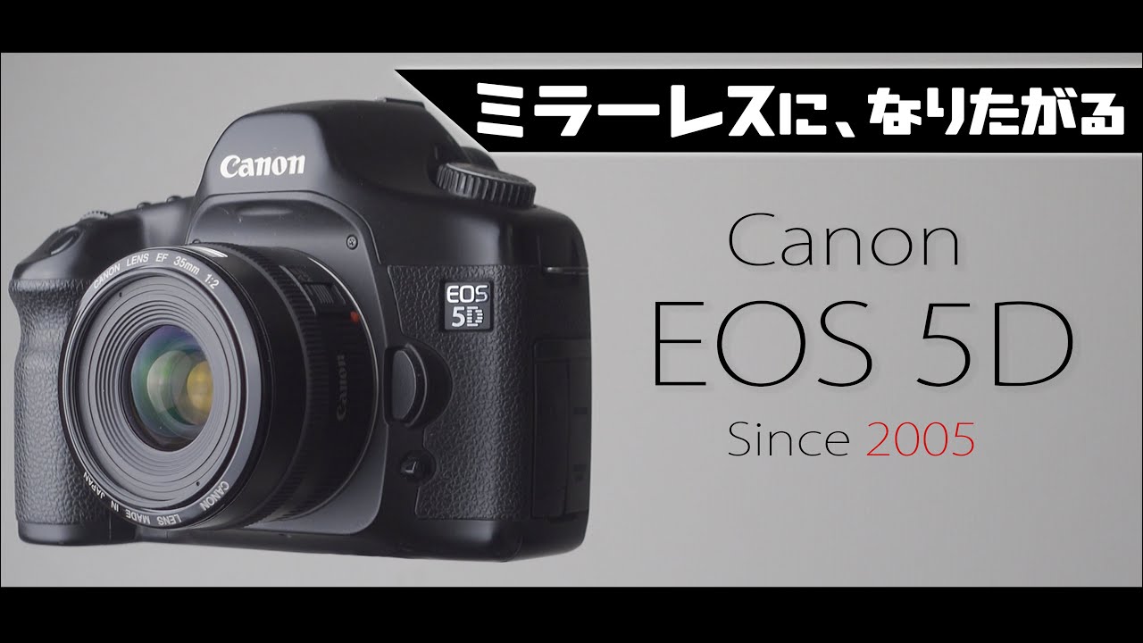 Canon EOS 5Dがミラーをポイポイする理由は先見の明があったって事でしょうか？【A.違います】