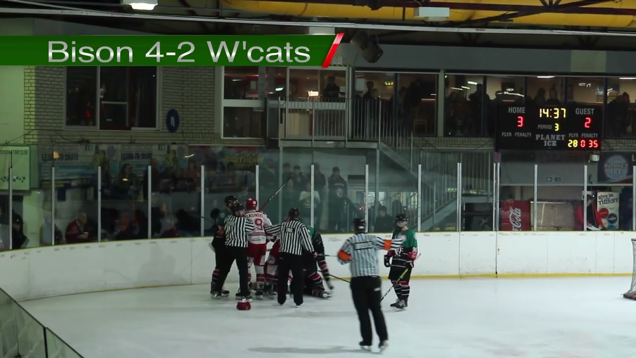 Basingstoke Bison v Swindon Wildcats - Season Finale