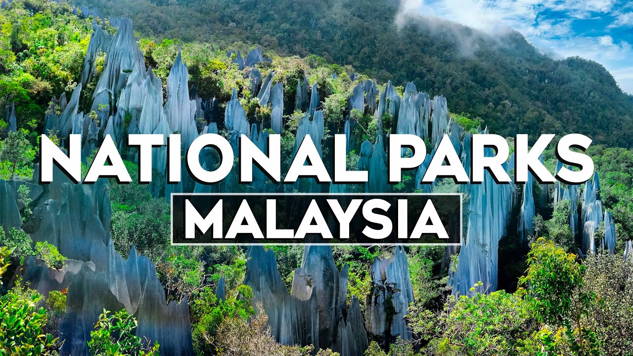 Top 10 Most Beautiful National Parks in Malaysia - Travel Video 2024
