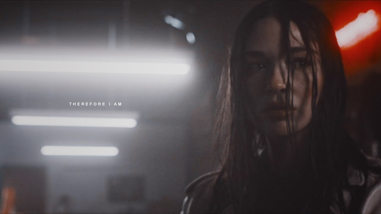 therefore i am [allison argent]