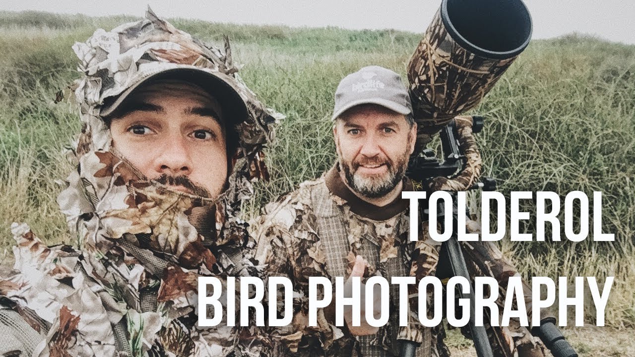 TOLDEROL BIRD PHOTOGRAPHY - SOUTH AUSTRALIA