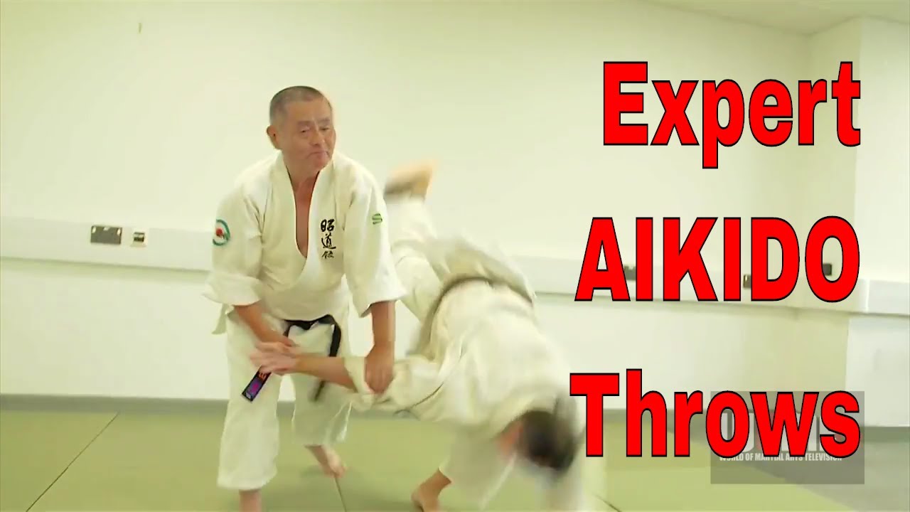 Expert AIKIDO Throws