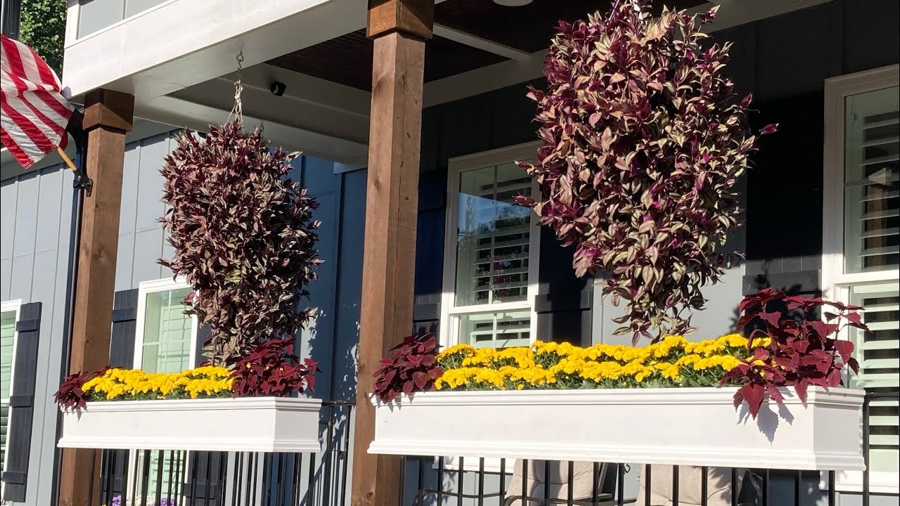 🍁🍂🌼 Fall Window Boxes are Ready!🍁🍂🌼