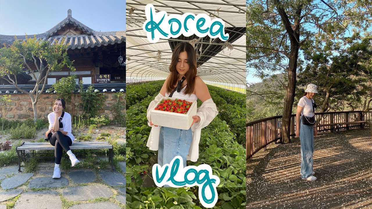 VLOG | a week of my life in korea 📍 gwangju, yeonggwang, suncheon & jeonju [ENG]