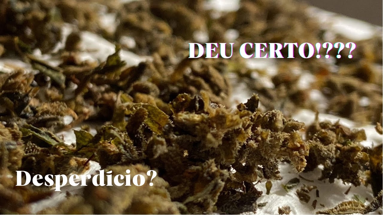 Como lavar o prensado da maneira correta! #reducaodedanos