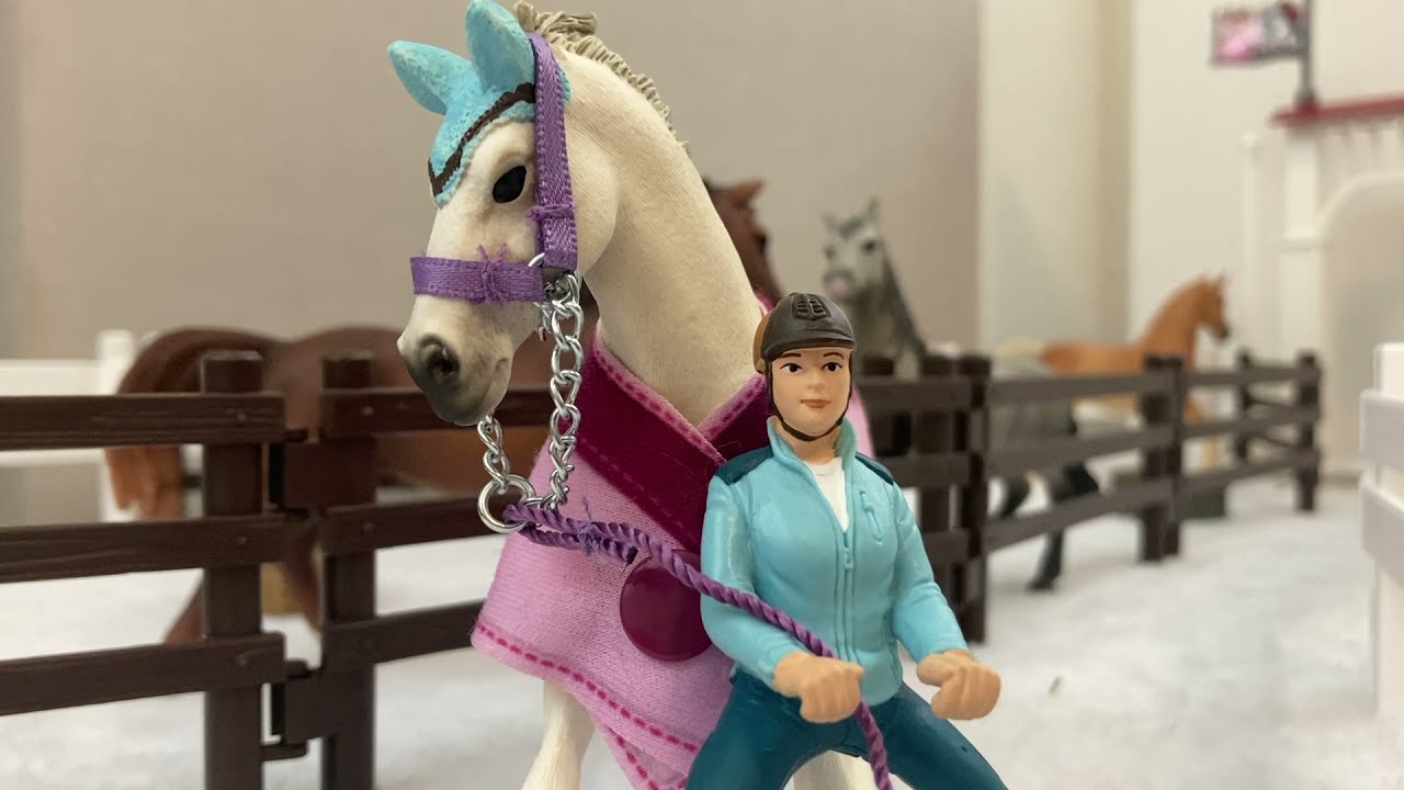 Riverdale Stables S1 Ep1: Lesson One (Inspired by Schleich Horse Lover 200)