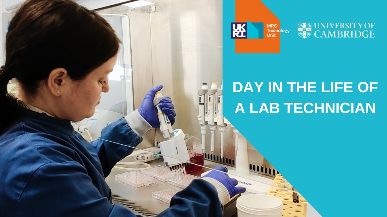 Day in the Life of a Lab Technician in Cambridge | Liver spheroids, cell culture & lab meeting